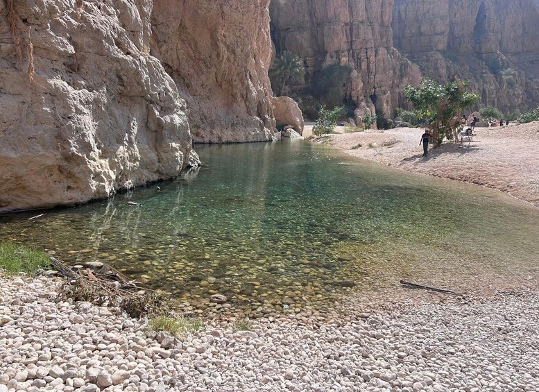 Picture 6 for Activity Tour Fatimah-2 Day 1 Night in Ras Al Hadd,Oman Tours Package 4