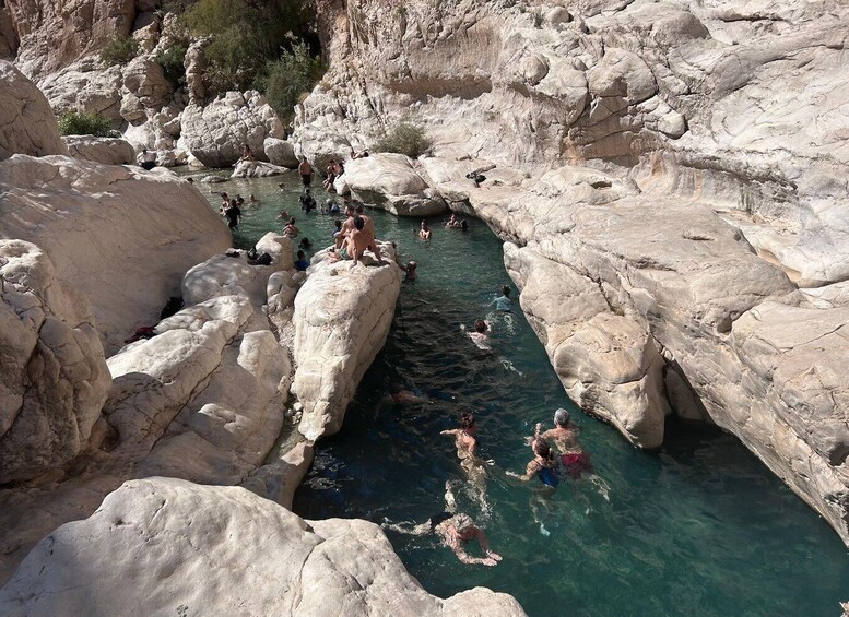 Picture 30 for Activity Tour Fatimah-2 Day 1 Night in Ras Al Hadd,Oman Tours Package 5