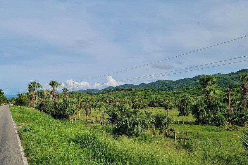 Region around Cozoaltepec 2