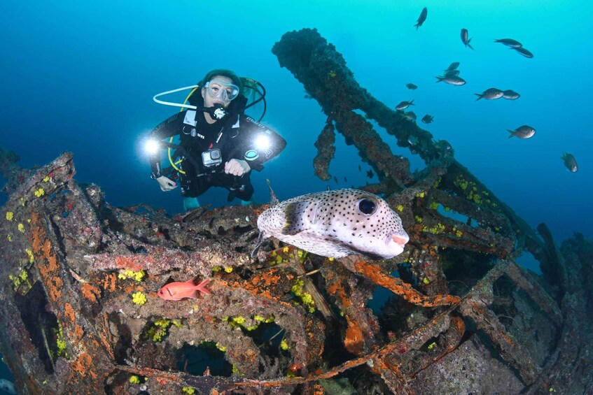 Picture 3 for Activity Santa Maria: Discover Scuba Diving for beginners 4