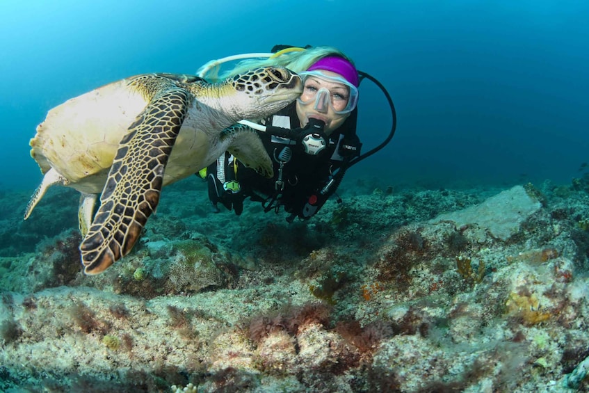 Santa Maria: Discover Scuba Diving for beginners 1