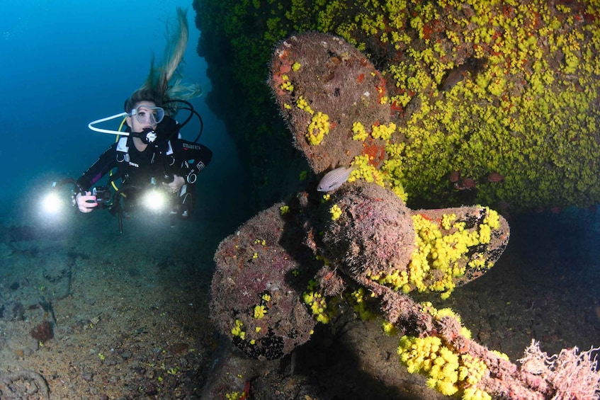 Picture 4 for Activity Santa Maria: Discover Scuba Diving for beginners 5
