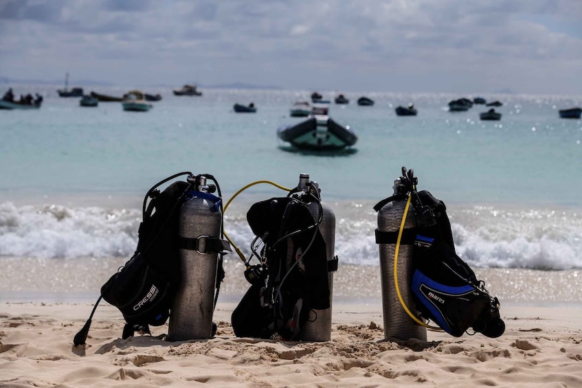 Picture 5 for Activity Santa Maria: Discover Scuba Diving for beginners 3