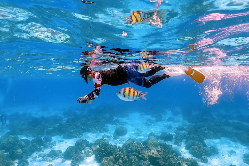 A person scuba diving underwater with a fish nearby. 4