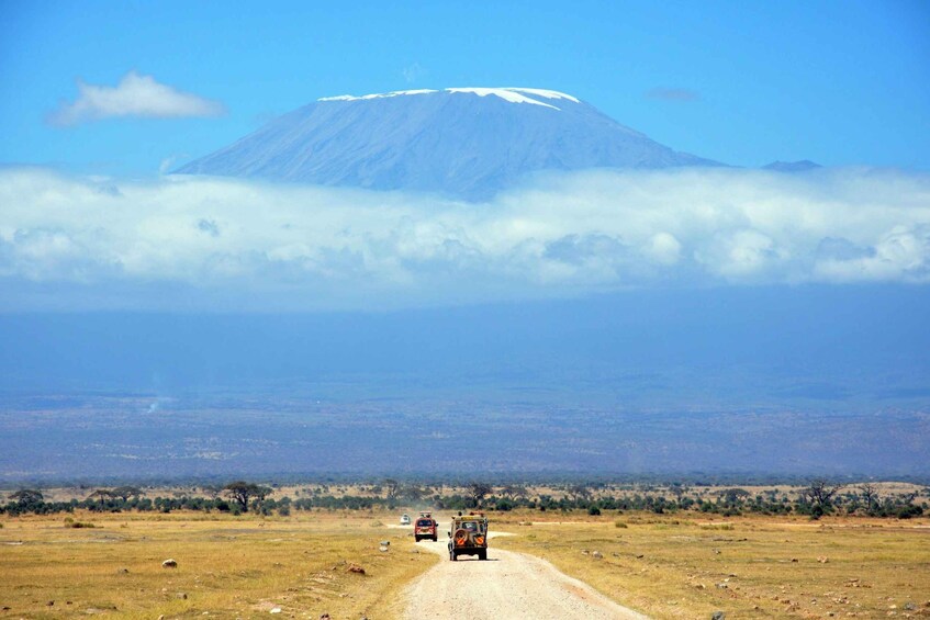 Picture 15 for Activity Kilimanjaro coffee, waterfalls, village walk and Hotsprings 3