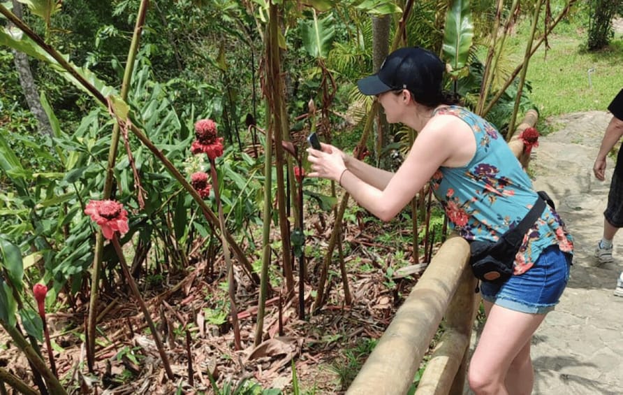 Picture 1 for Activity From Huatulco: Coffee and Mezcal Tour 4