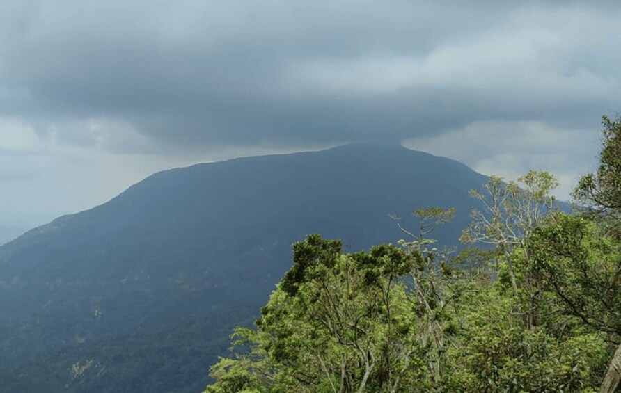 From Huatulco: Coffee and Mezcal Tour 1