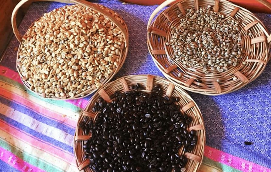Picture 3 for Activity From Huatulco: Coffee and Mezcal Tour 3