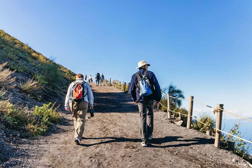 Picture 13 for Activity From Pompeii: Mount Vesuvius Hike & Tour by Bus 1