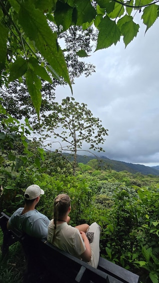 Picture 17 for Activity Birding Tour in Monteverde+Guide+Binoculars+Photos 3