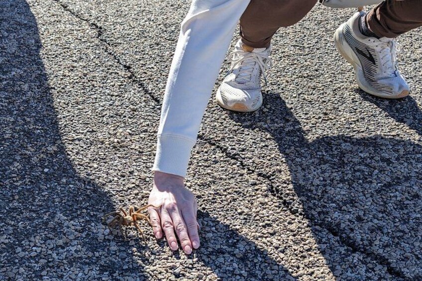 Una mano tocando el suelo, con zapatillas blancas y pantalones marrones. 2