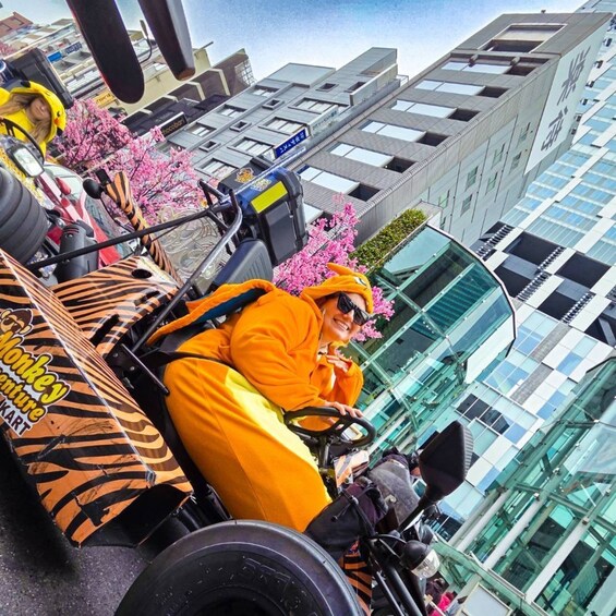 Picture 9 for Activity Tokyo Go-Karting Experience: Shibuya Crossing with Photos 2