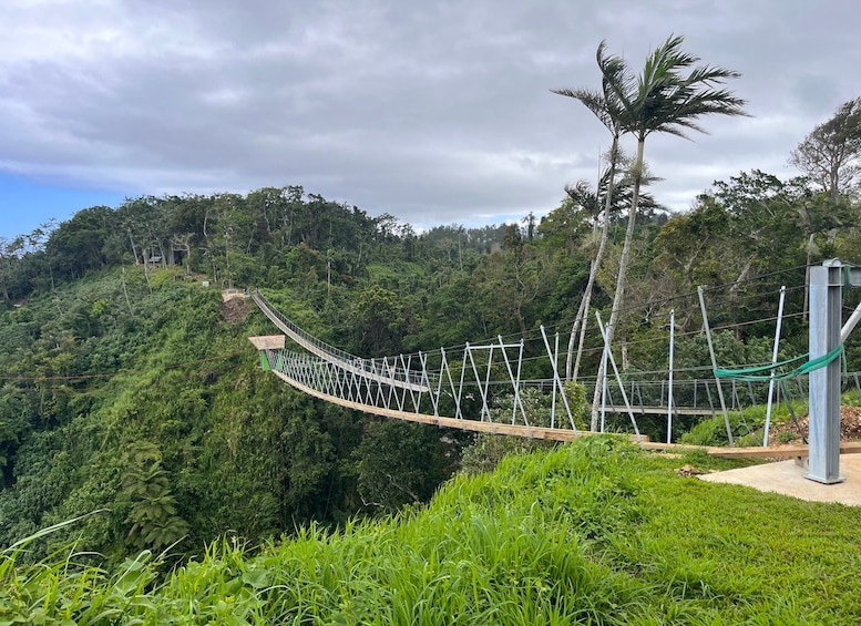 A suspension bridge in a lush, green forested area with a cloudy sky. 2