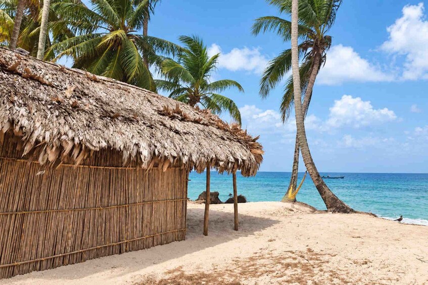 San Blas: Aroma Island Overnight, Shared Cabin & Boat Tour 1