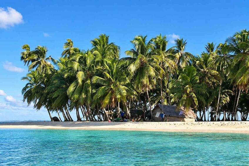 Picture 14 for Activity San Blas: Aroma Island Overnight, Shared Cabin & Boat Tour 2