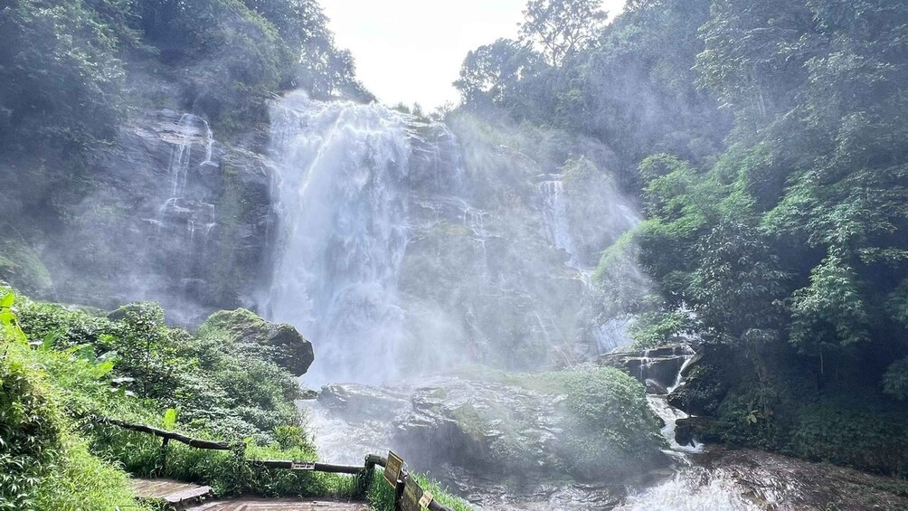 Picture 60 for Activity Chiang Mai: Doi Inthanon Park and Pha Dok Siew Trail Trek 2