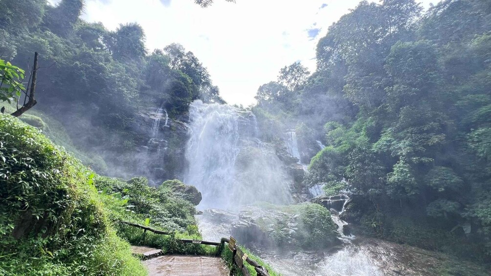 Picture 58 for Activity Chiang Mai: Doi Inthanon Park and Pha Dok Siew Trail Trek 5