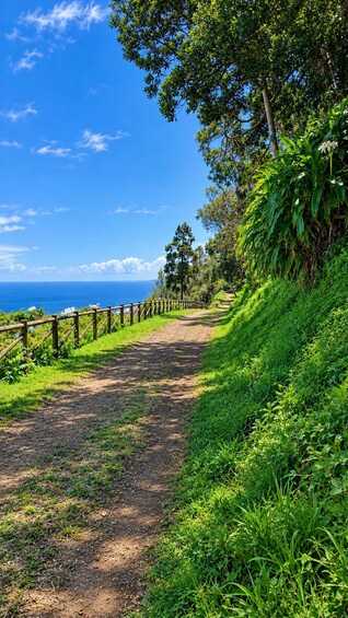 Ein unbefestigter Weg führt zu einem Strand, begleitet von einem hölzernen Zaun und üppiger Vegetation. 3