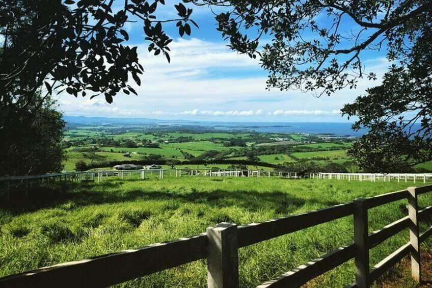 Countryside near the Kiama coastline