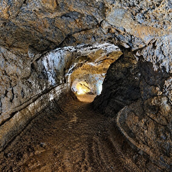 A cave with a narrow passageway and rough rock walls. 5