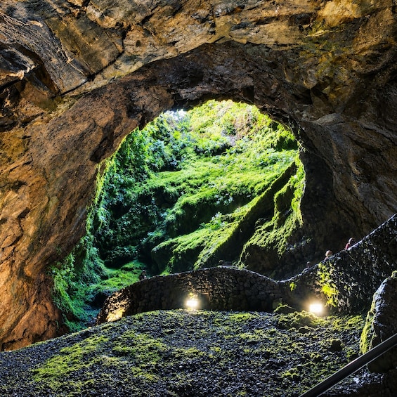 A cave entrance with a view of lush green vegetation outside. 2