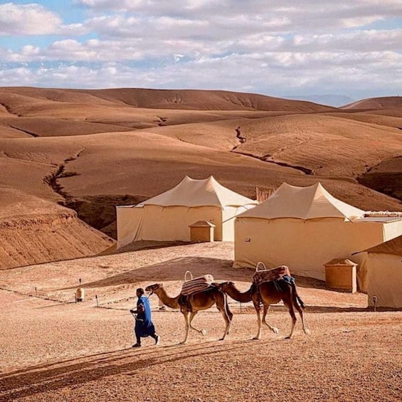 Marrakech: Overnight Camp, Camel Ride, Dinner, Music & show 1