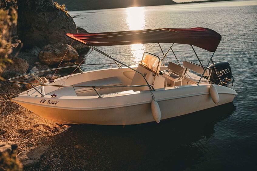 Picture 16 for Activity Skadar Lake Virpazar : Speed Boat Special ! 5