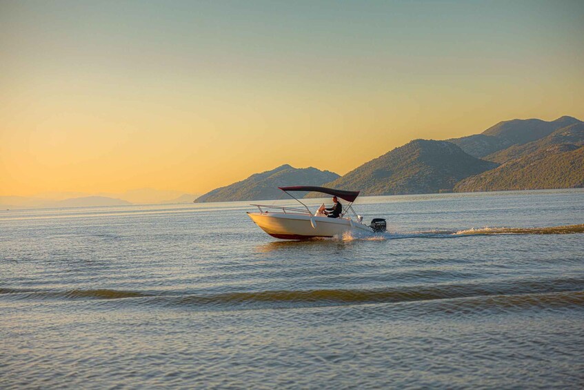 Picture 15 for Activity Skadar Lake Virpazar : Speed Boat Special ! 4