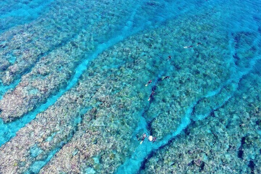An aerial view of a coral reef with divers. 1