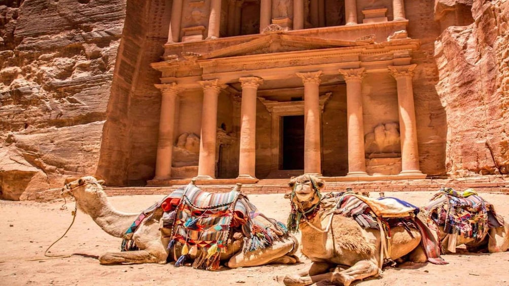 Petra & Dead Sea Private day tour 1