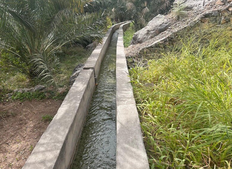 A concrete water channel with vegetation on either side. 3