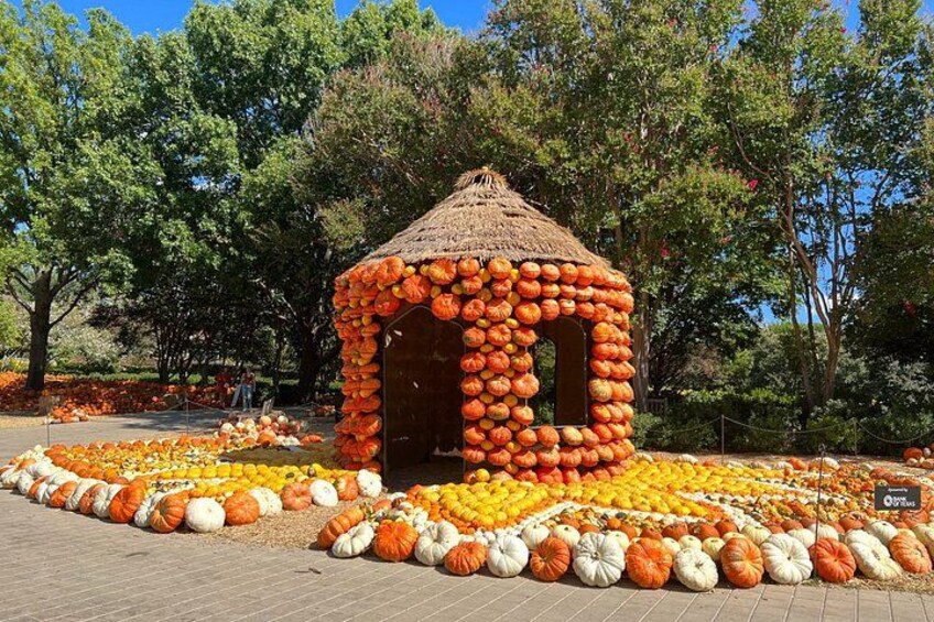 Dallas Arboretum and Botanical Gardens Tour 2