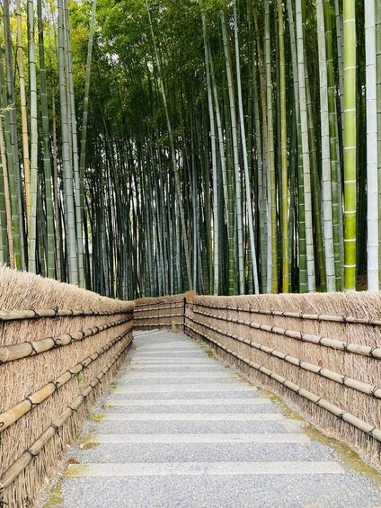 Picture 1 for Activity ALL-IN Private Tour KYOTO w/Hotel Pick-up and Drop-off 3