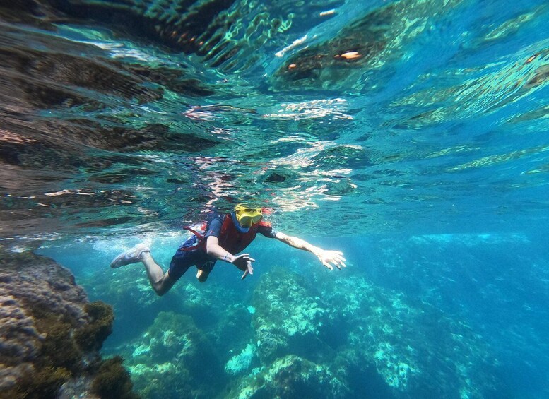 A person scuba diving underwater with clear visibility of the rocky seabed and marine life. 2