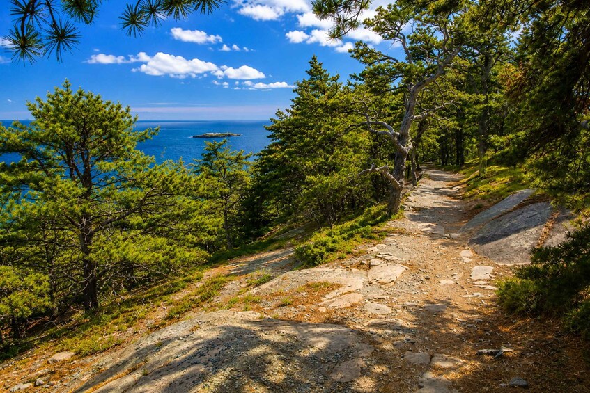 Picture 13 for Activity 3 Hour Acadia National Park Customizable Private Tour 5