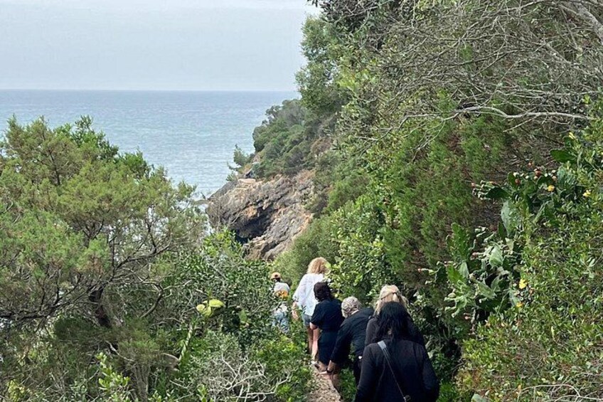 Jeep Tour through Nature in Arrábida 5