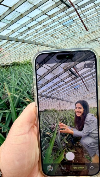 Picture 2 for Activity Ponta Delgada: Greenhouse Hot Tube with Pineapple Tour 3