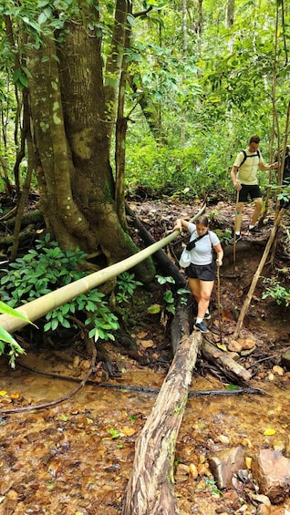 Picture 65 for Activity Chiang Mai: Doi Saket Hidden Jungle Trek & Waterfall 2