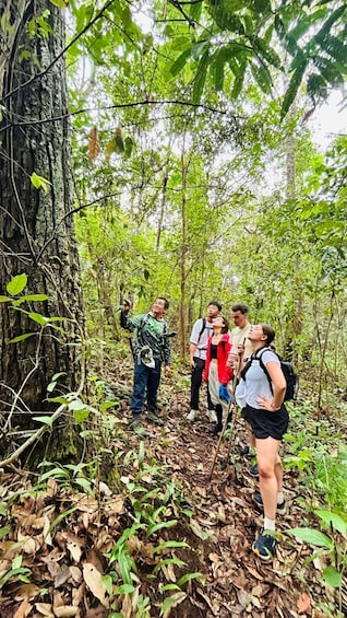 Picture 85 for Activity Chiang Mai: Doi Saket Hidden Jungle Trek & Waterfall 4