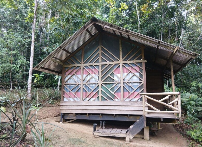 Picture 2 for Activity 3-Day Amazon Expedition: Jungle, River & Wildlife Tour 5
