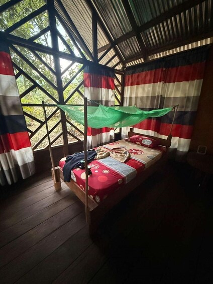 Picture 3 for Activity 3-Day Amazon Expedition: Jungle, River & Wildlife Tour 2