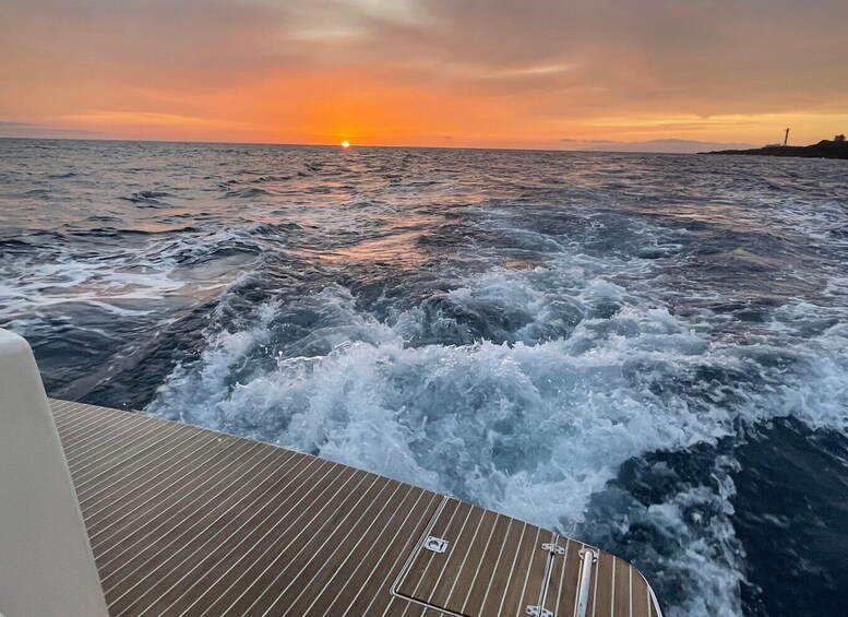 Picture 23 for Activity Las Galletas: Private Luxury Yacht Cruise with Lunch 4