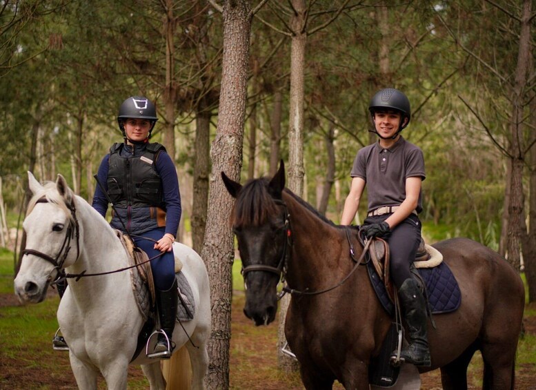 Deux cavaliers à cheval dans une zone boisée. 4