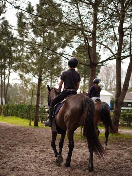 Picture 5 for Activity Aveiro: Horse Riding Experience with Instructor 3