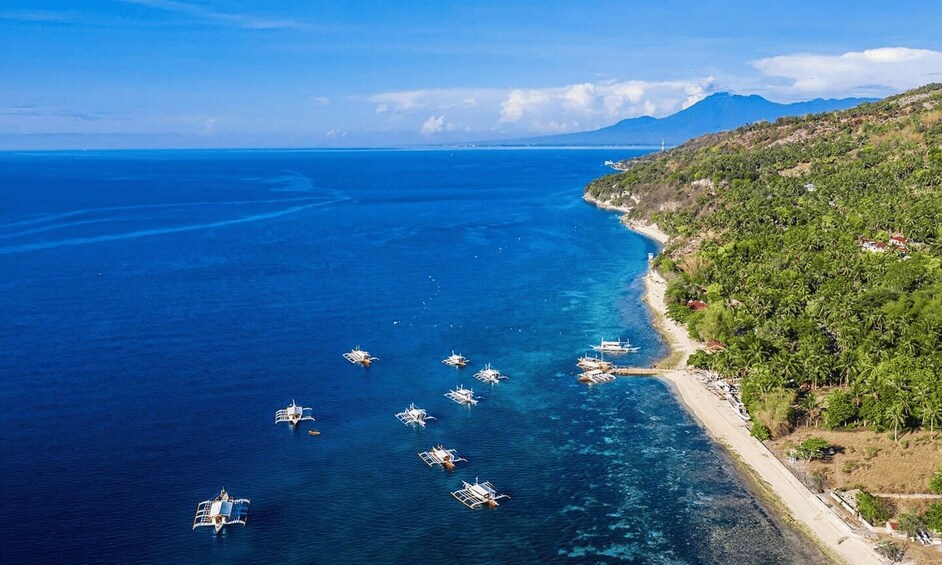Picture 9 for Activity Cebu: Whale Shark, Tumalog Falls & Moalboal Turtles Tour 2