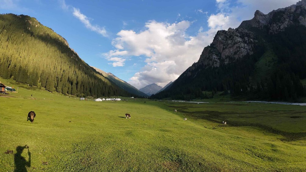 Picture 39 for Activity Kyrgyzstan 7 to 9-Days Horse Trekkings, Canyons & Top Lakes 5