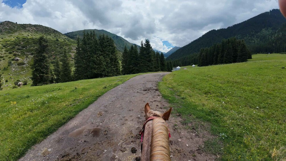 Picture 97 for Activity Kyrgyzstan 7 to 9-Days Horse Trekkings, Canyons & Top Lakes 3