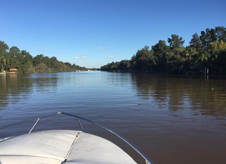 Picture 5 for Activity Best of Delta Buenos Aires Private Boat Tour: Enjoy More 3