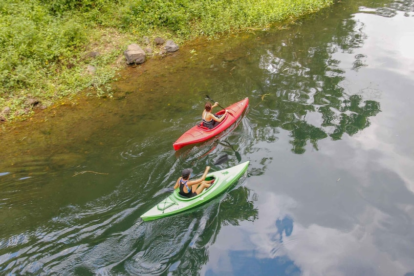 Two people kayaking on a calm river surrounded by greenery. 1