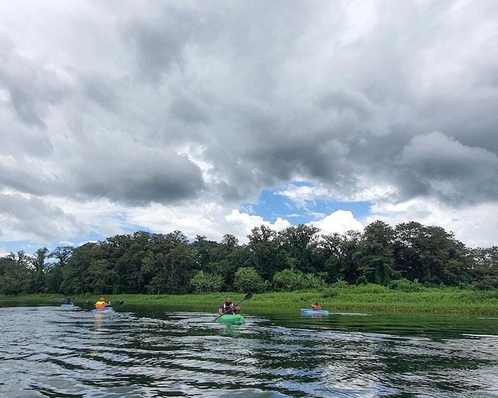 People kayaking on a river with a forested landscape in the background. 4